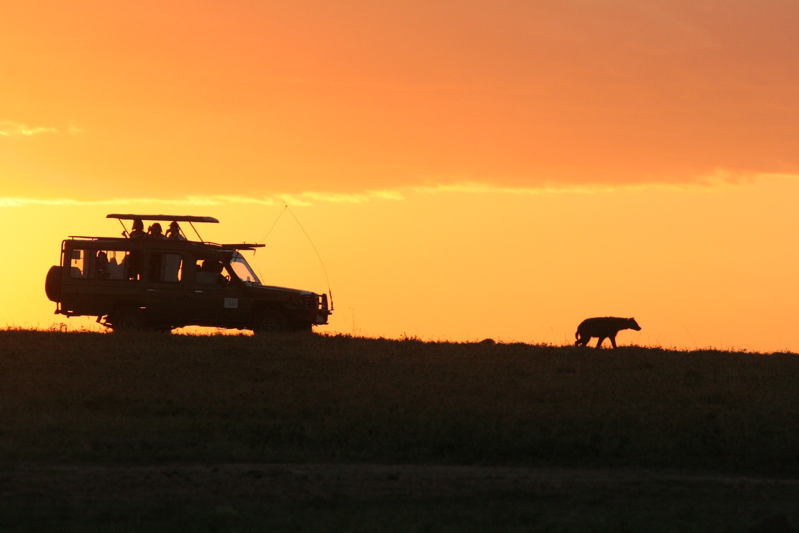 silhouette of SUV under orange sky