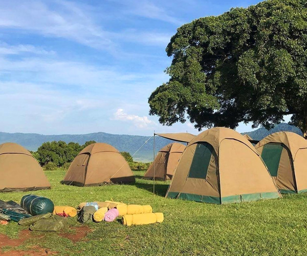 5-Day Tanzania Serengeti Safari Adventure Experience