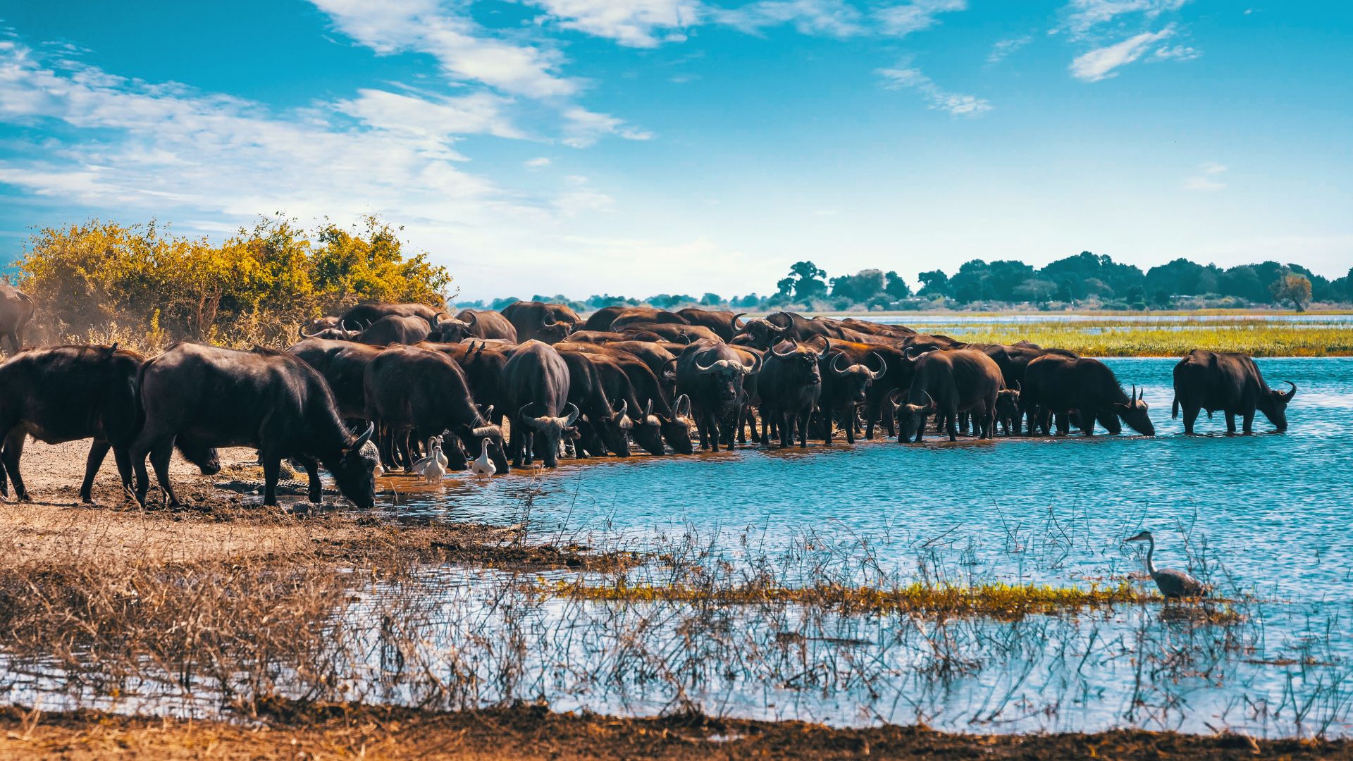 6-Day Northern Tanzania Unforgettable Safari