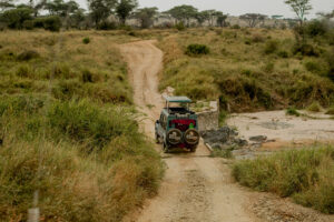 3-Day Serengeti & Ngorongoro Affordable Wildlife Safari