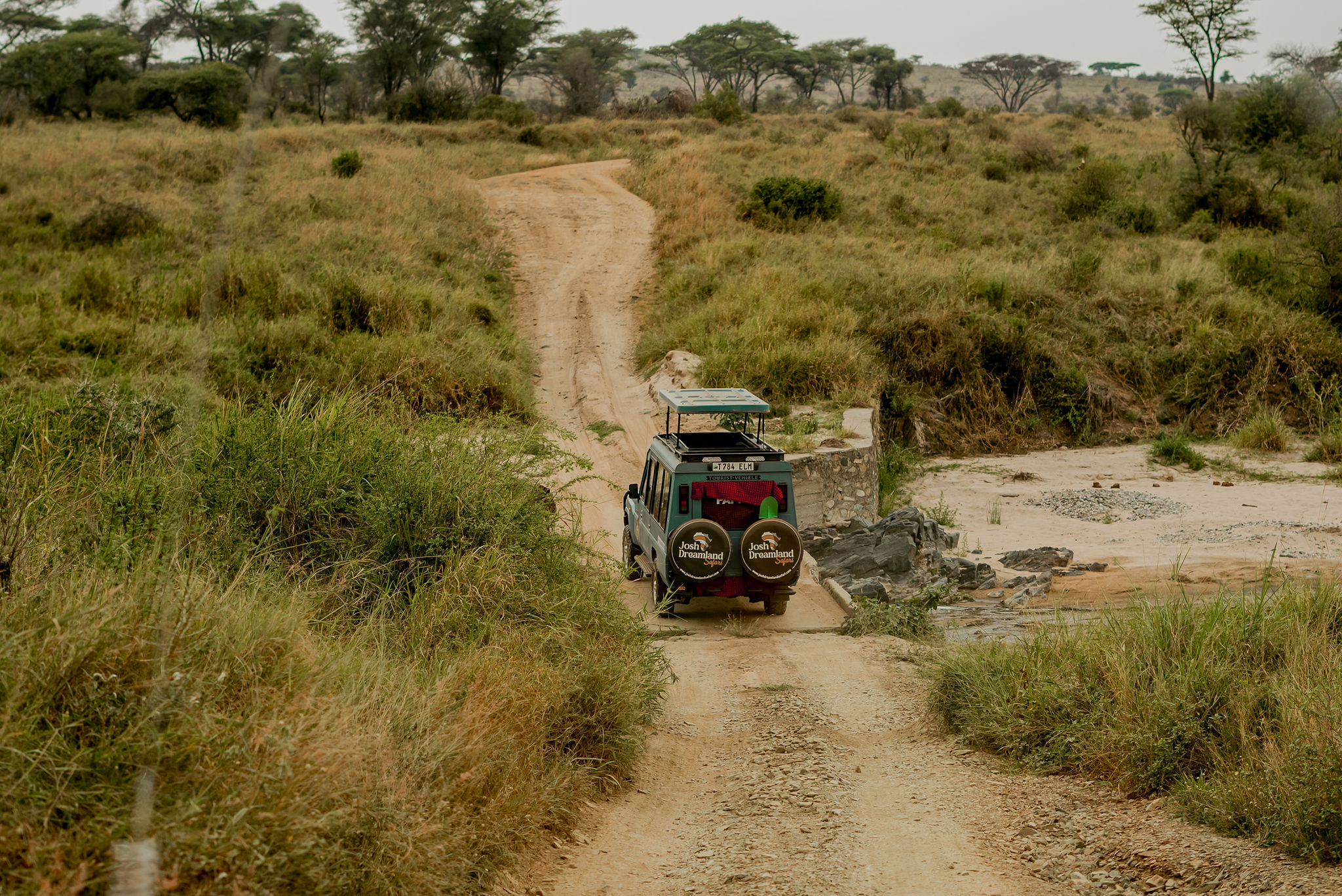 3-Day Serengeti & Ngorongoro Affordable Wildlife Safari