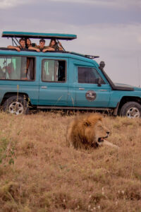 3-Day Serengeti and Ngorongoro Big Five Adventure