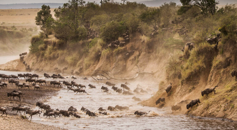 6-Day Serengeti Migration Safari Tanzania