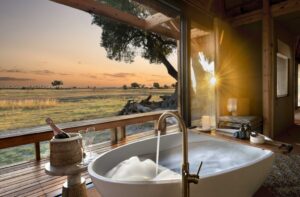 7-Day Luxury Tanzania Safari Adventure