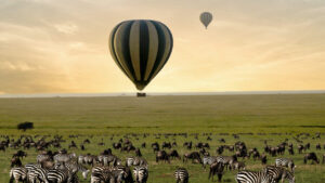 6-Day Northern Serengeti Aerial Wildlife Experience
