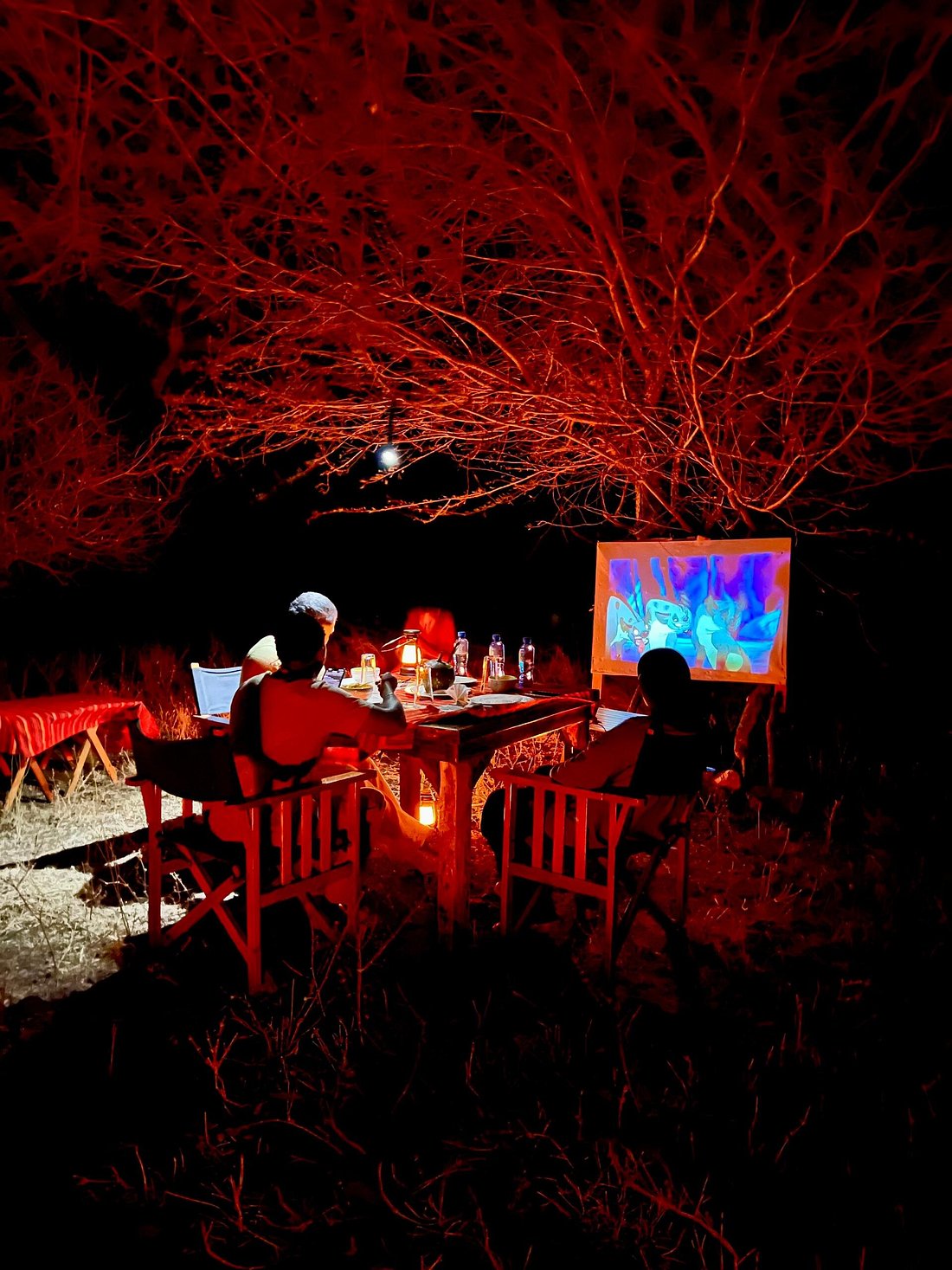 Furaha Luxury Lodge — 2