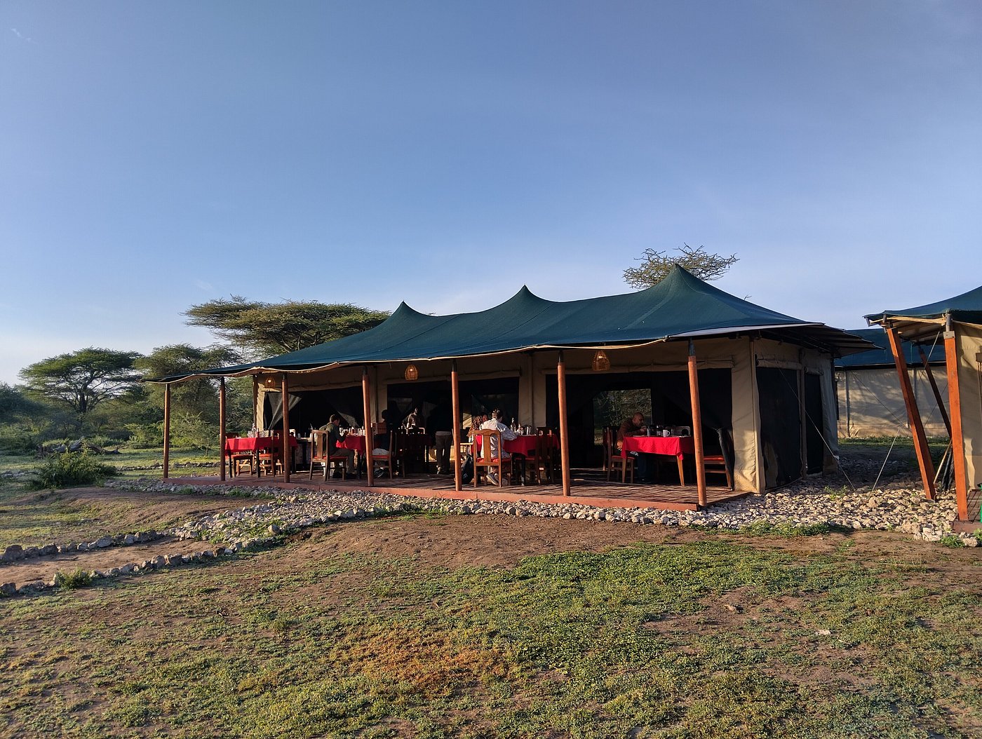 Safari Haven — 2