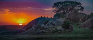 Serengeti at Sunrise: Why the Golden Hour is Africa’s Greatest Show