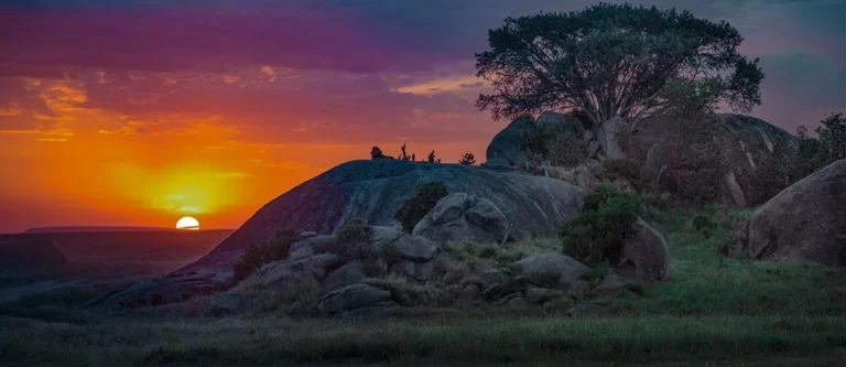 Serengeti at Sunrise: Why the Golden Hour is Africa’s Greatest Show