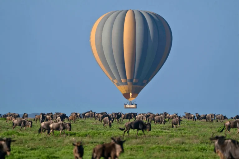 5-Day Serengeti Safari with Hot Air Balloon Ride