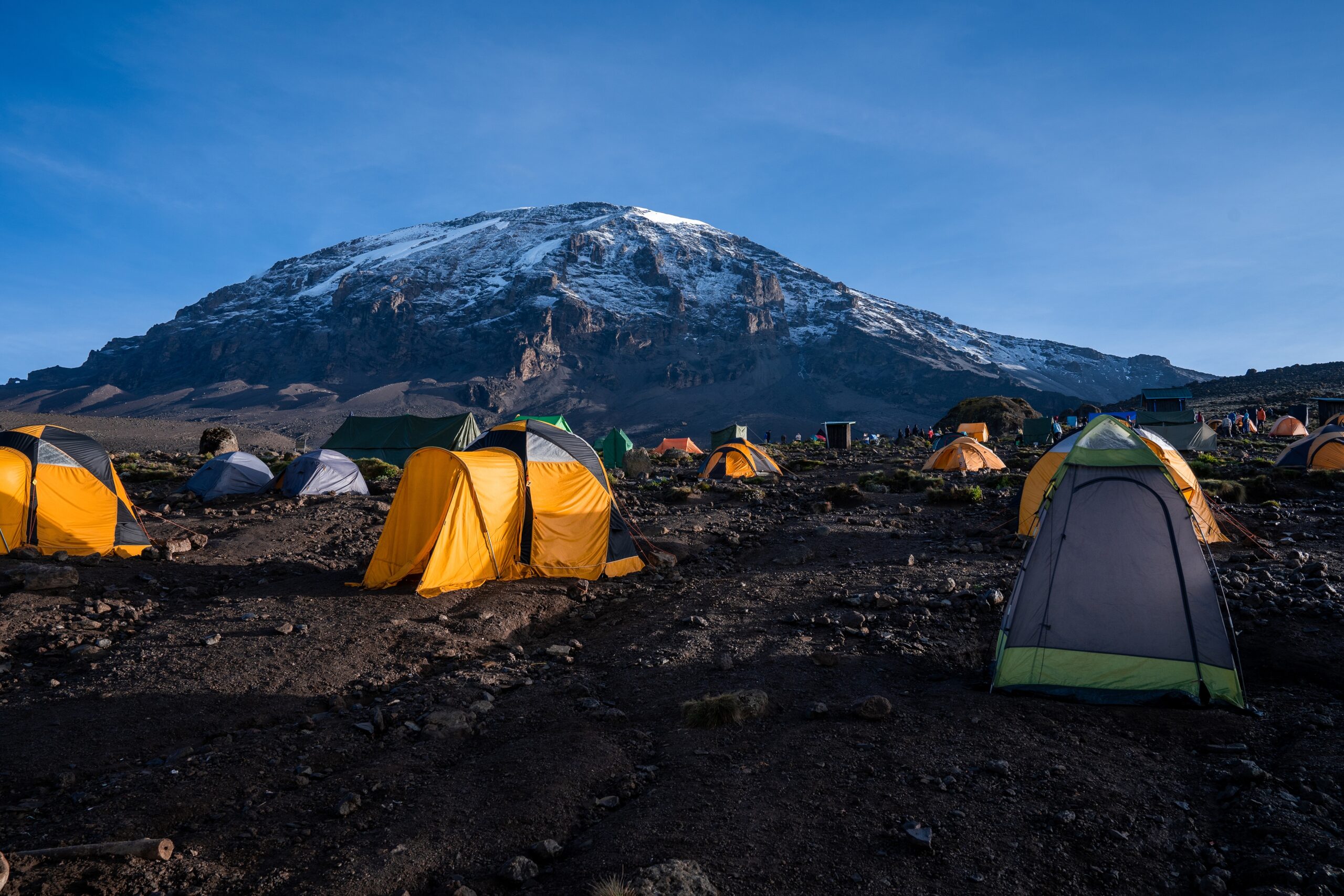 7-Day Kilimanjaro Hike Lemosho Route