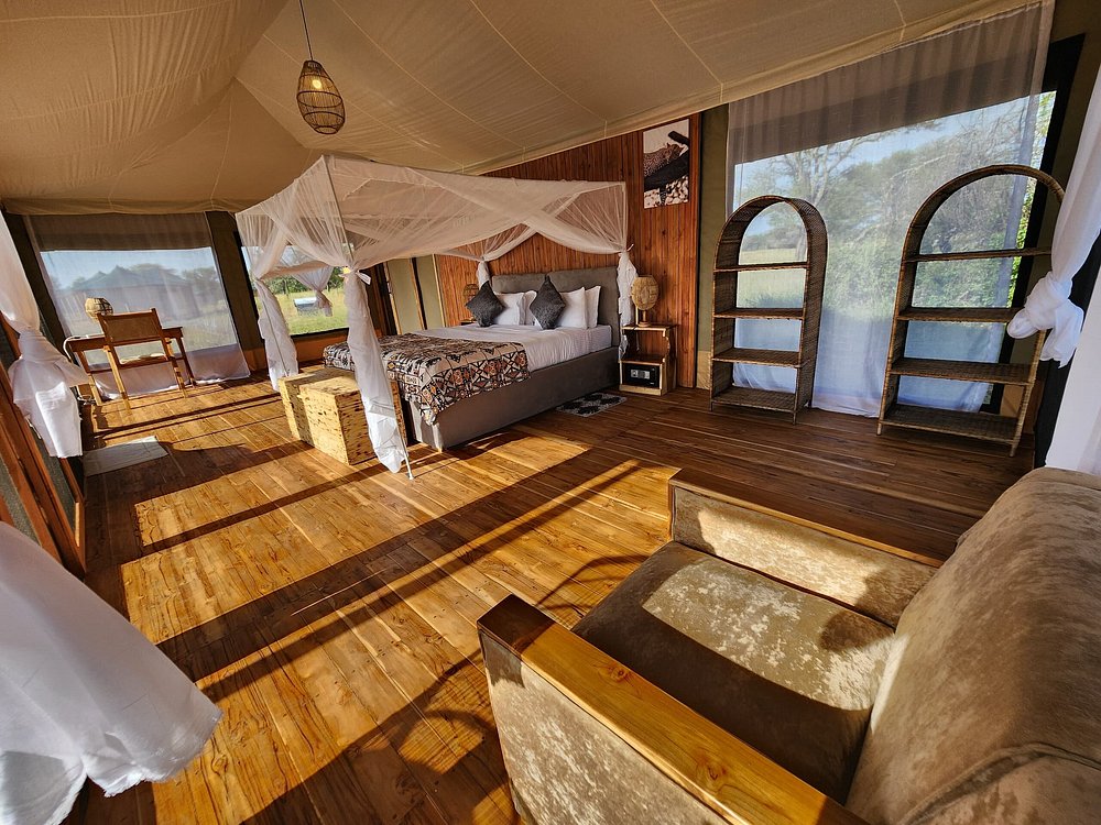 Safari Tent