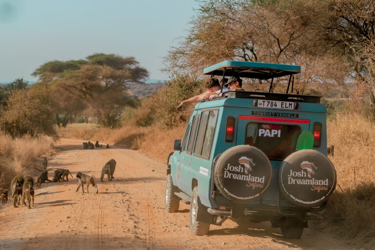 4-Day Budget-Friendly Tanzania Safari with Balloon Tour