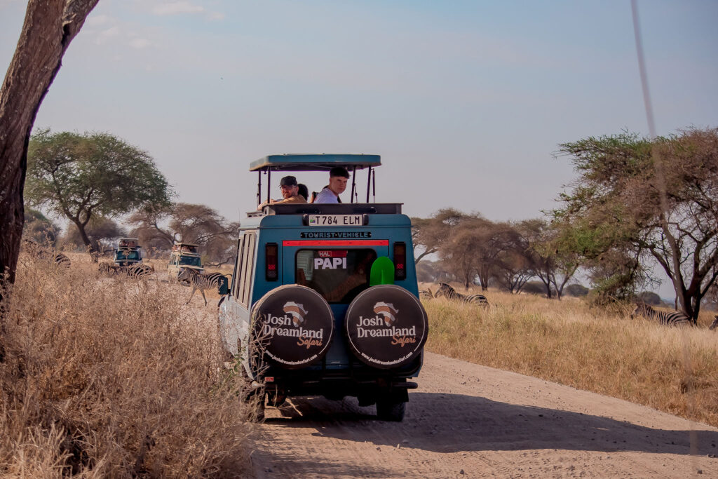 3-Day Tanzania Magic Safari